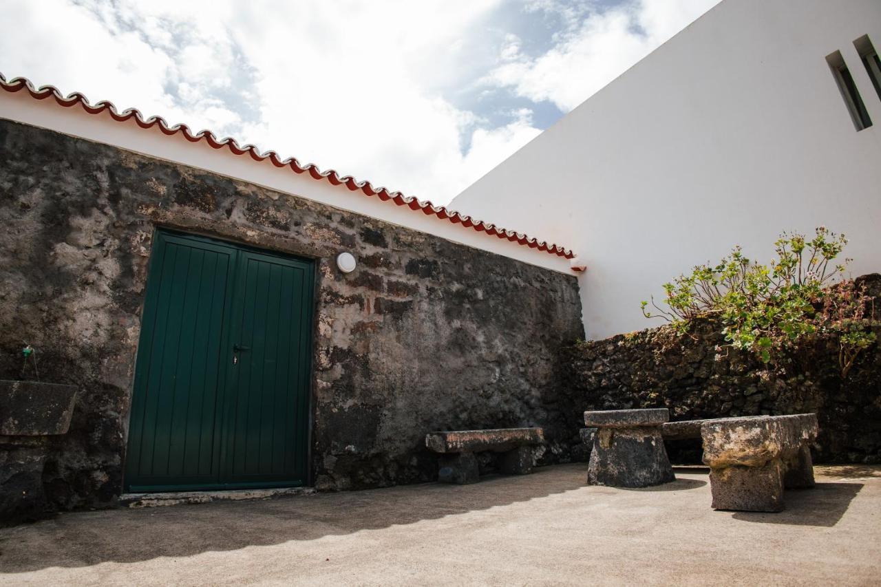 Casa Das Palmeiras เซา วิเซนเต เฟอร์เฮรา ภายนอก รูปภาพ