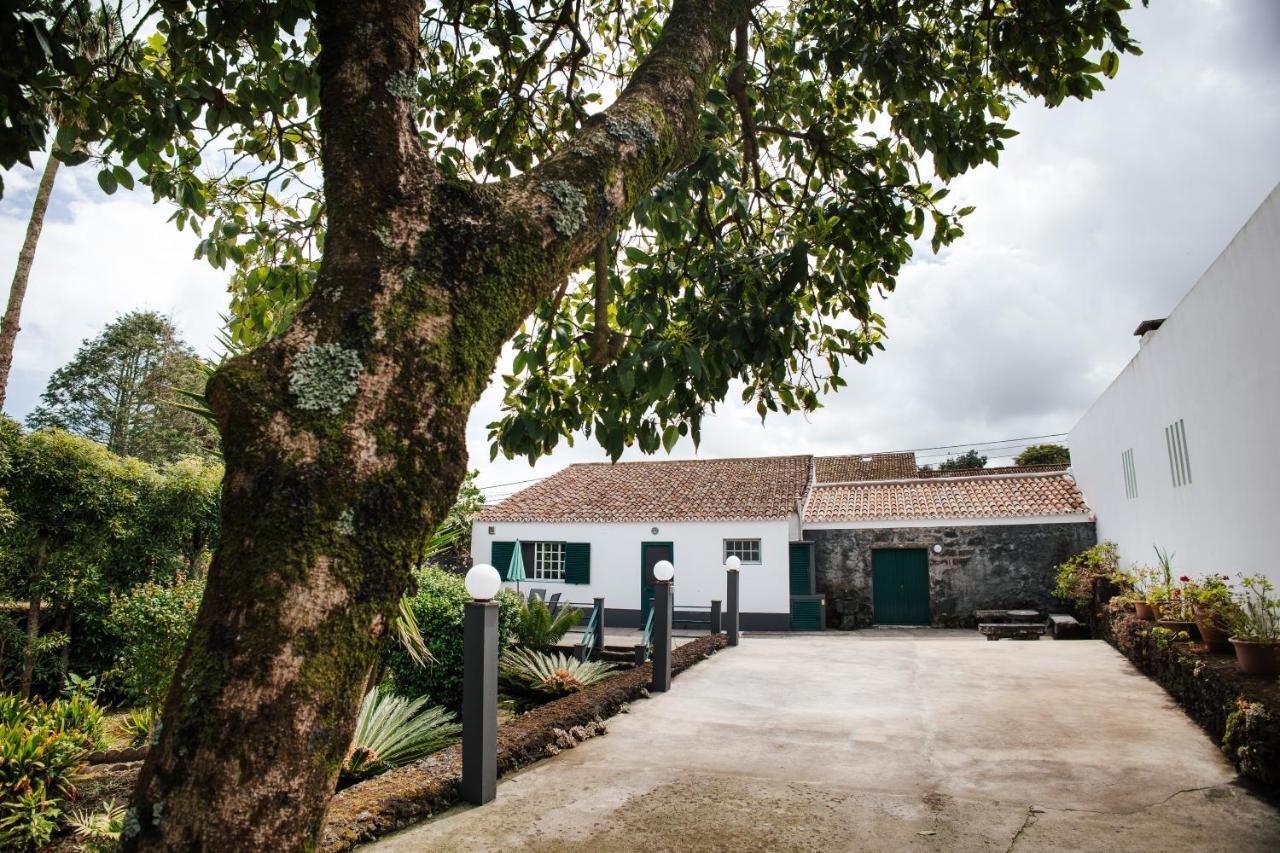 Casa Das Palmeiras เซา วิเซนเต เฟอร์เฮรา ภายนอก รูปภาพ
